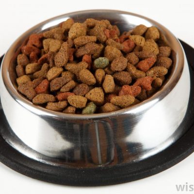 Dry Feed
