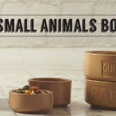 Small Animal Bowls & Bottles