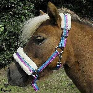 Rhinegold Bright Headcollar Pony