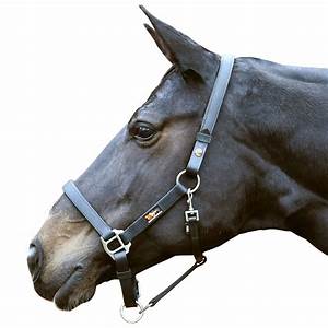 EQUILIBRIUM STELLAR HEADCOLLAR BLACK  medium