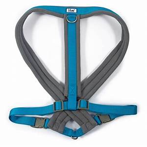 Ancol Padded Harness Blue Xlarge, 70-98cm