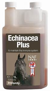 NAF Echinacea Liquid 1 L